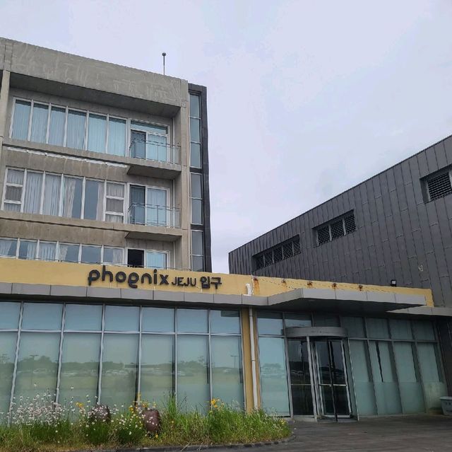 휘닉스 제주 섭지 코지