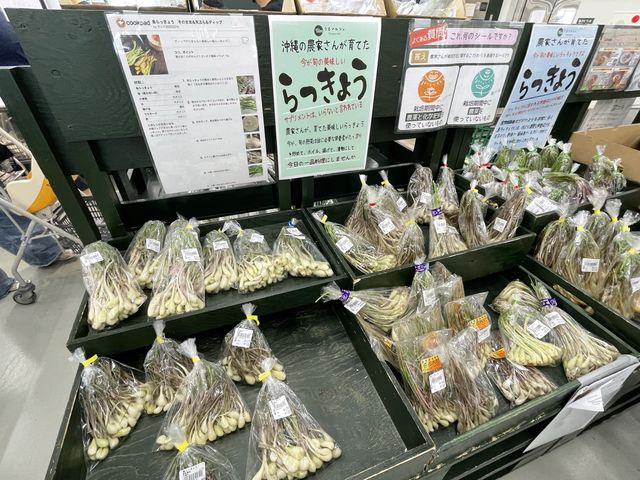 沖縄県　うるま市の『うるマルシェ』で休憩