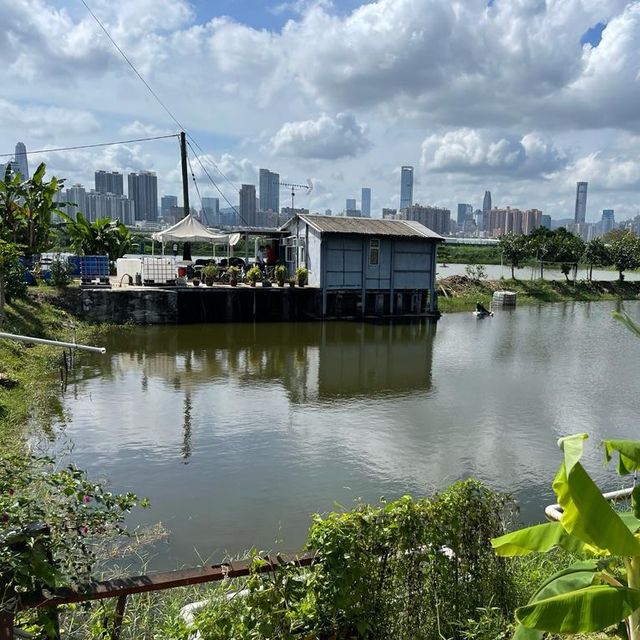 沿梧桐河行走，一路飽覽深圳和香港的城鄉美景
