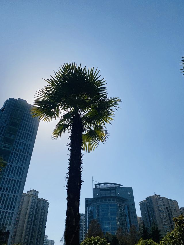 Changshou Park - Shanghai 