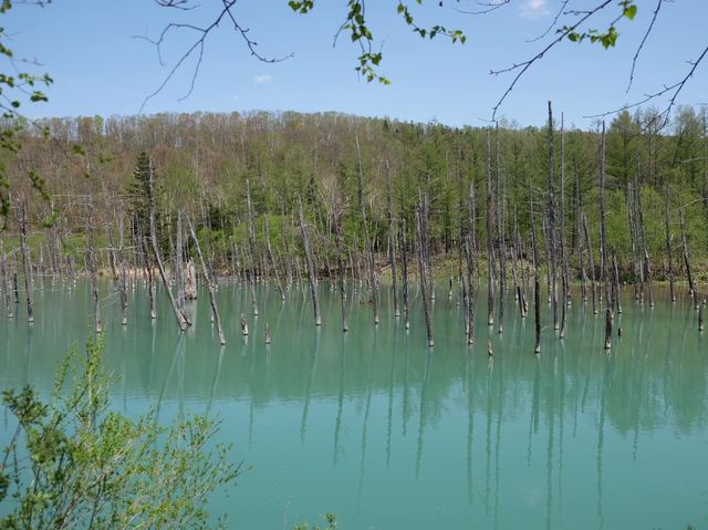 一生必去一次的絕境｜北海道清池