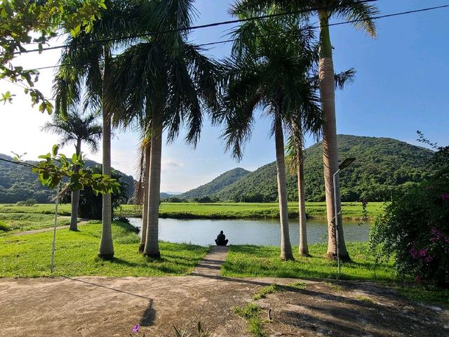 世外桃源系列~深涌🏝️