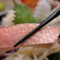 板橋生魚片推薦 師傅每日精選漁獲，吃得到罕見魚種