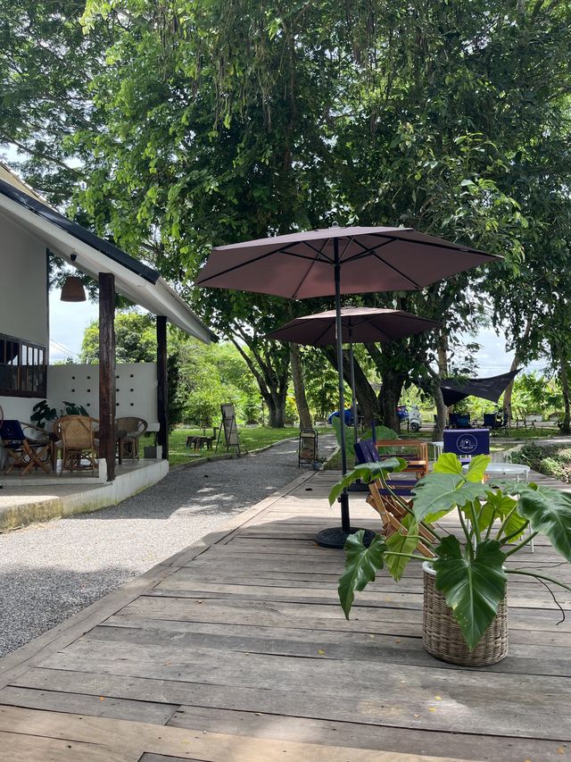 🌱☕️ สวนฉัน คาเฟ่ 🌳🏡