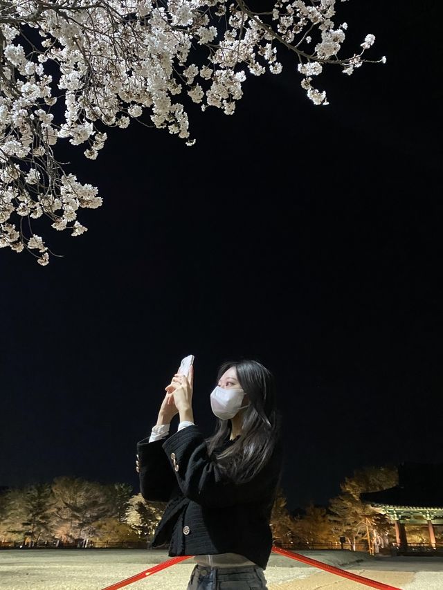 경주 야경이 아름다운 '동궁과 월지' 🎑