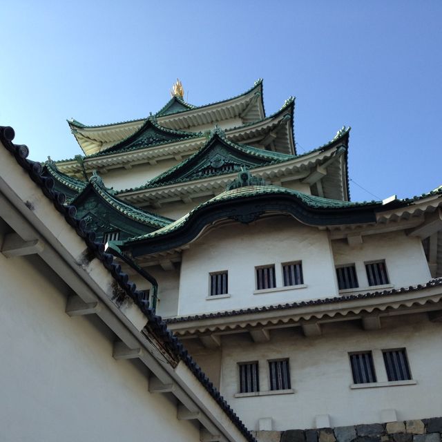 【名古屋】日本三名城！名古屋城をご紹介