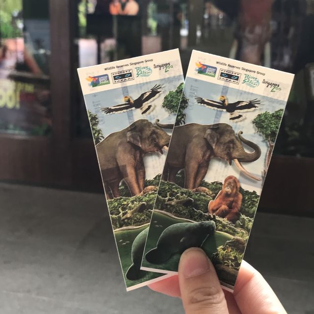 新加坡🇸🇬親子活動必到新加坡🇸🇬動物園❤️