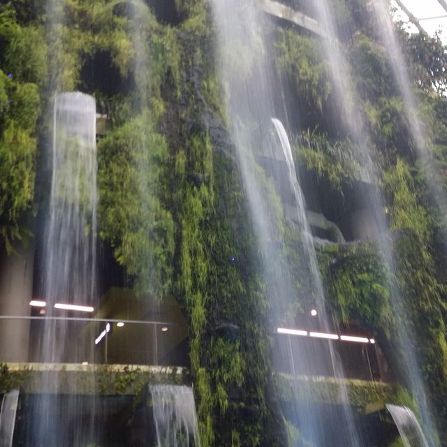 Tropical Waterfall and Flower Dome