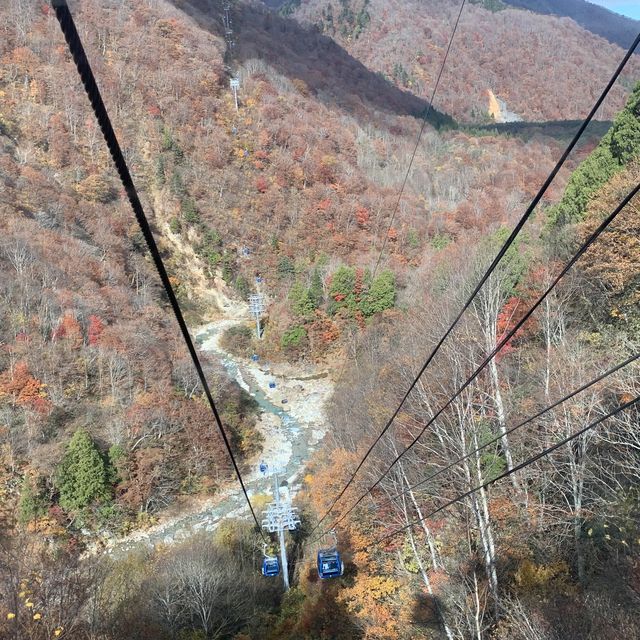苗場はもう晩秋🍁日本最長ゴンドラ