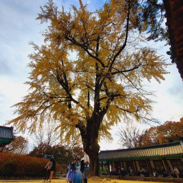 Jeonju Hyanggyo, Confucian school