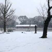 หนาวจับใจ..ได้สัมผัสหิมะแรกในชีวิตที่ Ueno