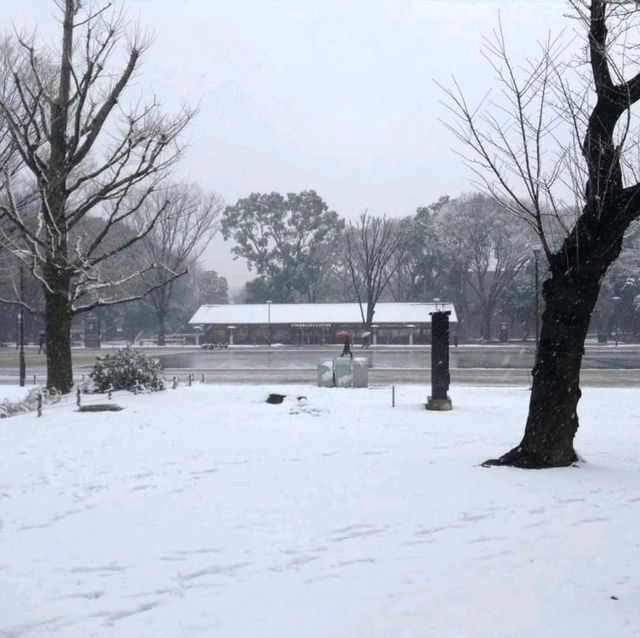 หนาวจับใจ..ได้สัมผัสหิมะแรกในชีวิตที่ Ueno