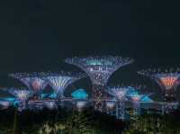 Gardens by the bay  