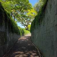 Fort Canning Park