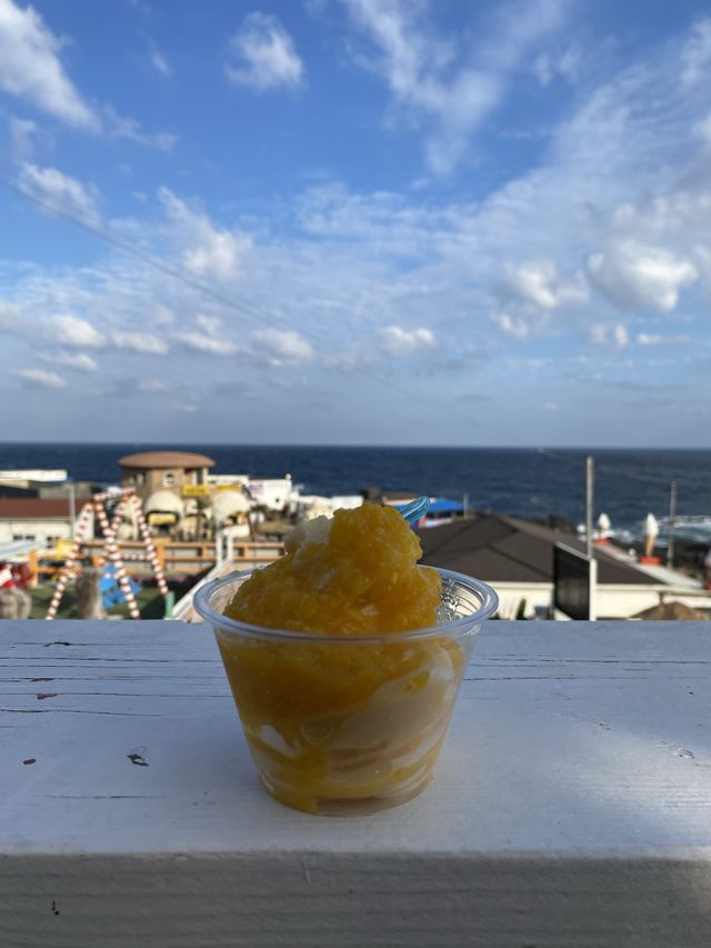 牛島🏝️BTS都食過嘅花生雪糕&橙肉雪糕🥜🍊