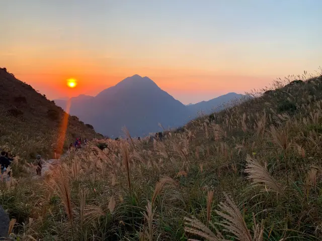 黃昏的大東山🌅🍂🍁