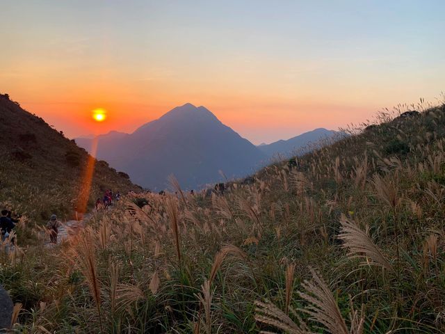 黃昏的大東山🌅🍂🍁