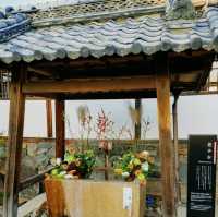 興聖寺　