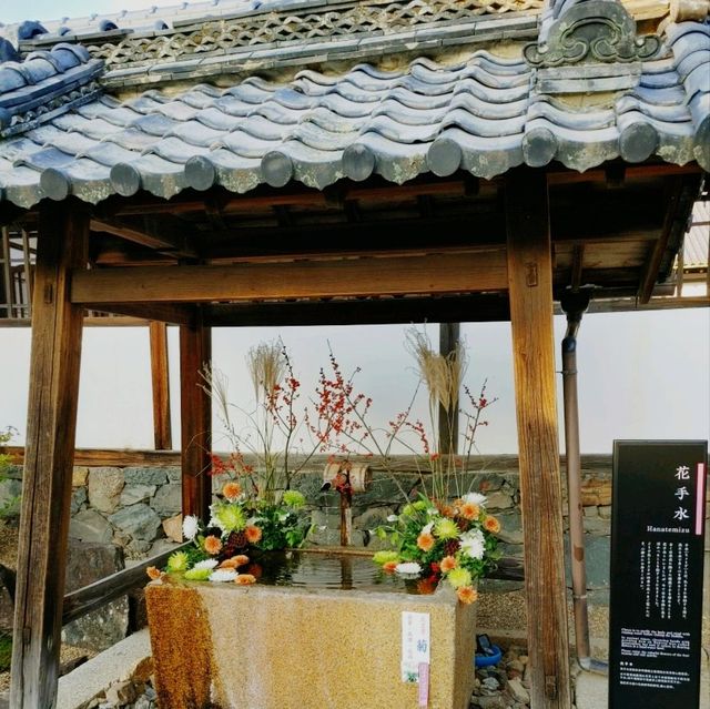 興聖寺　