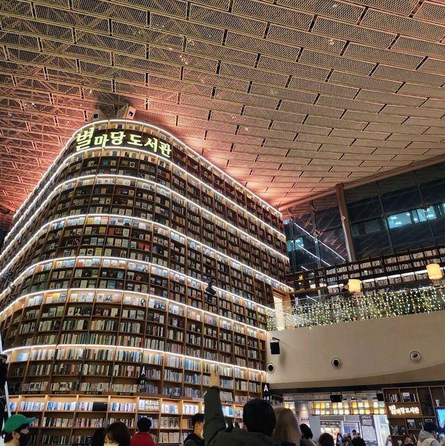 별마당 도서관의 크리스마스트리🎄 