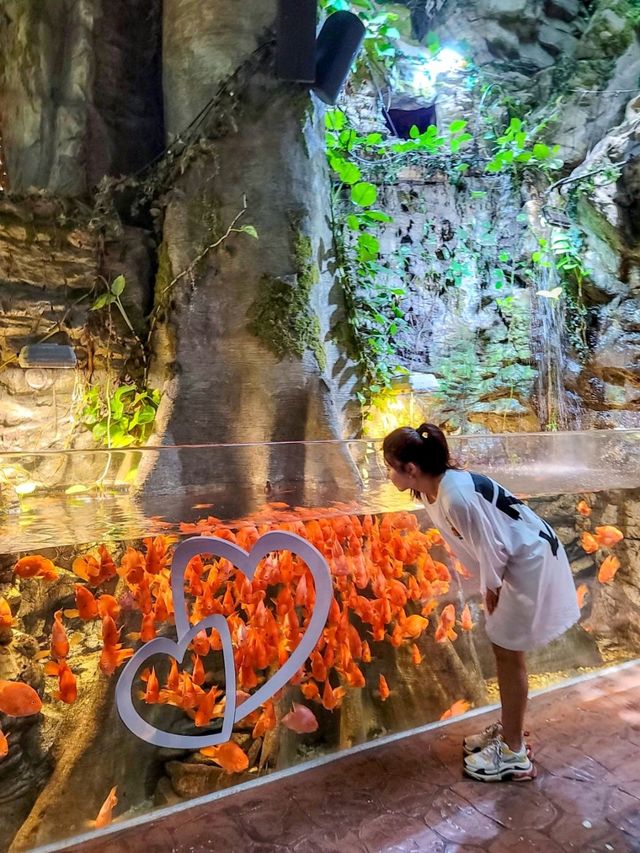 어른들도 신나는 바다속나라🐳아쿠아플라넷 여수🐠