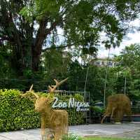 Zoo Negara With Kids