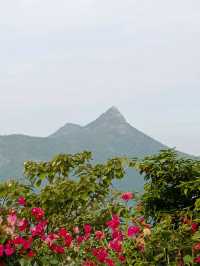 清水灣半島 , 眺望海洋群島 , 和群山 , 絕美海景！