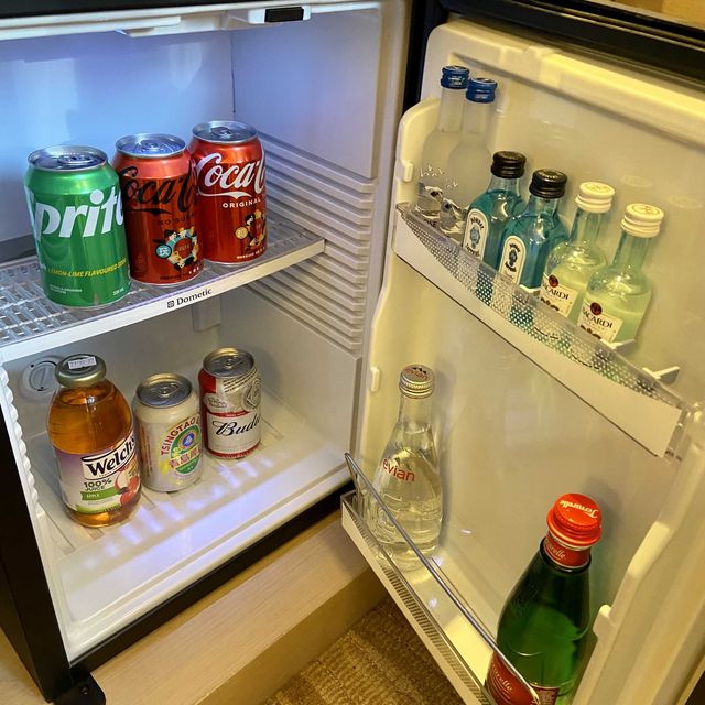 中環高質五星級酒店🌟 石板街酒店🏨 The Pottinger Hong Kong