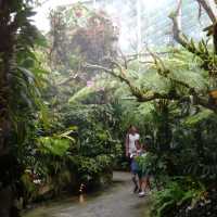 National Orchid Gardens, Singapore