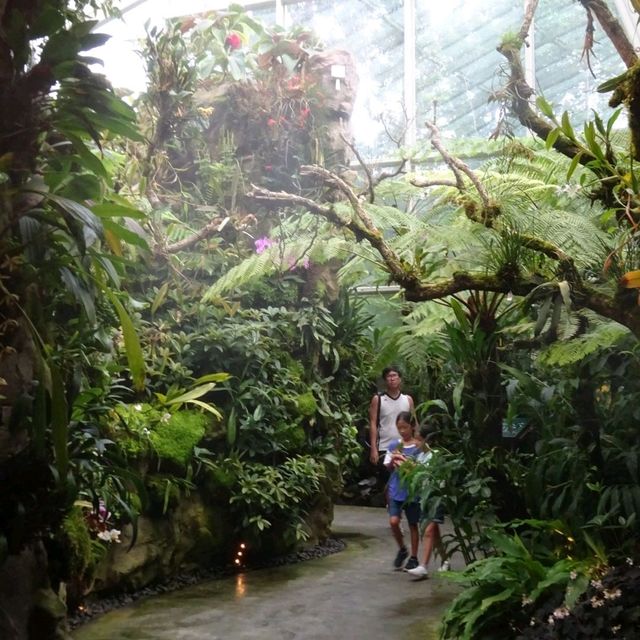 National Orchid Gardens, Singapore