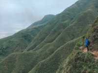 網美朝聖地「抹茶山」聖母山莊步道