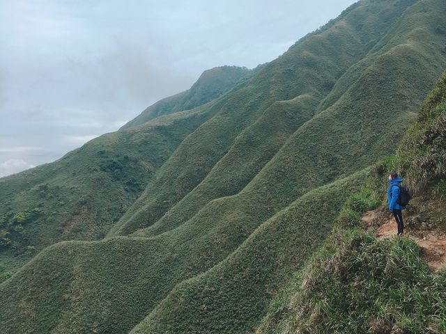 網美朝聖地「抹茶山」聖母山莊步道