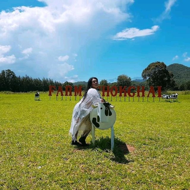 ฟาร์มโชคชัย@เขาใหญ่🐮