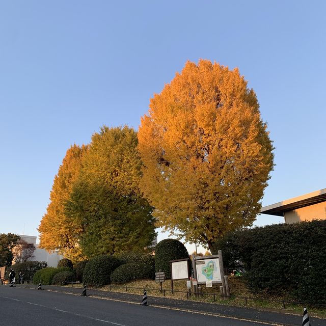 【千代田区】武道館すぐ横　北の丸公園