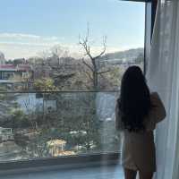 연말 가족 여행으로 추천하는 파라스파라 리조트 🎄💙