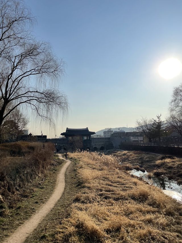 오리도 만날 수 있는 수원 방화수류정