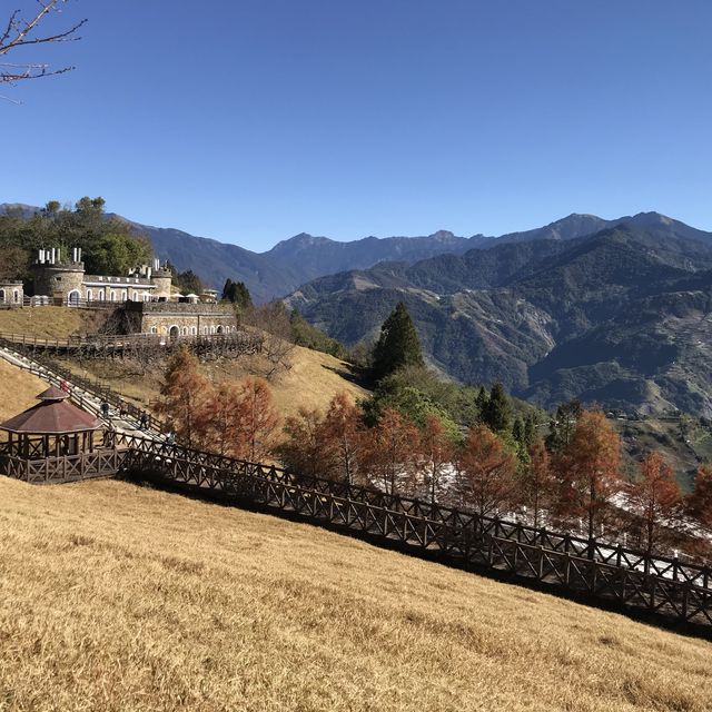 好想去旅行呀😮‍💨😮‍💨😮‍💨台灣清境農場
