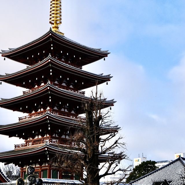 雪の翌朝の宝蔵門