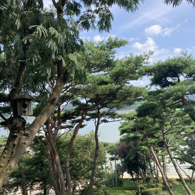 예당저수가 한 눈에 보이는 카페[카페이앙]