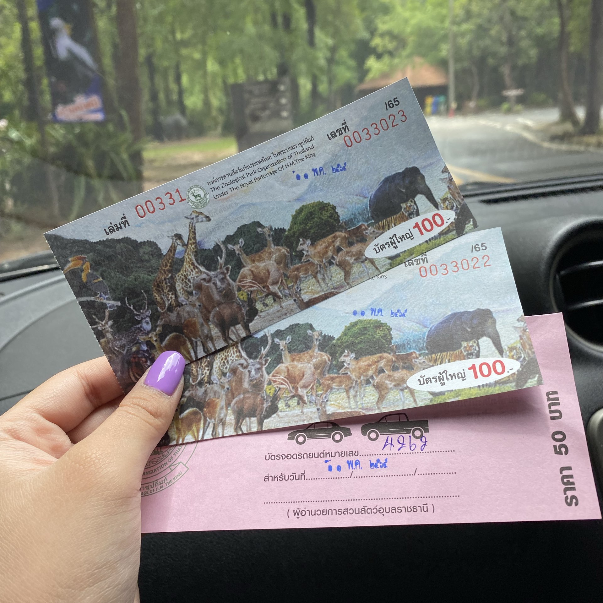 Little ones at Ubon Zoo ❤️