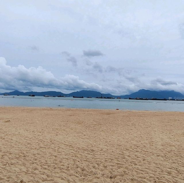 圍封多時，休養生息後的公園及海灘