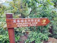 水畔千層