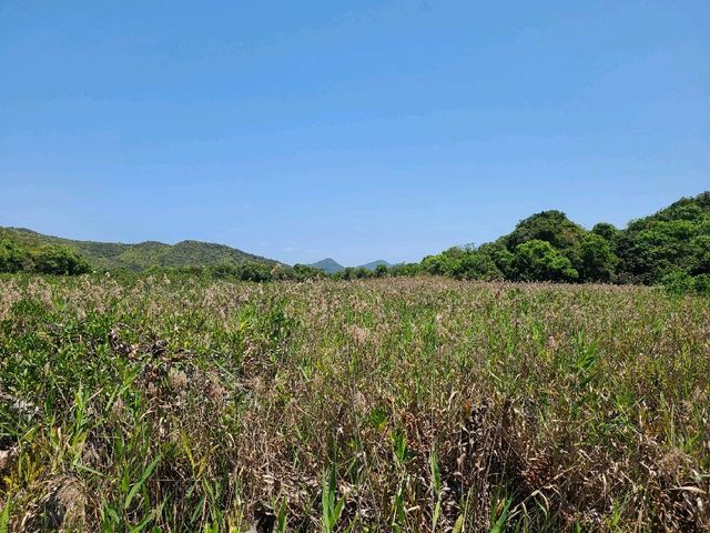 人間天堂~三椏🏞️