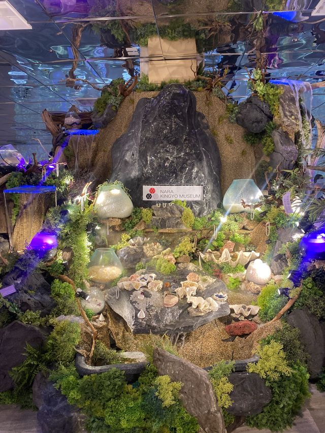 【インスタ映え】金魚ミュージアム