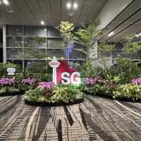 ✈️ Changi Airport August special 