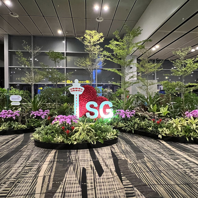 ✈️ Changi Airport August special 
