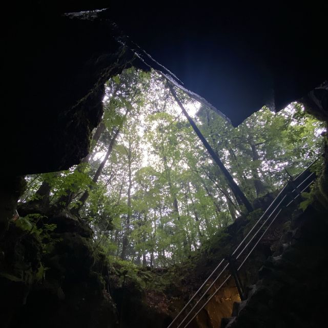 【山梨県】天然記念物　富岳風穴・氷穴🍃❄️✨