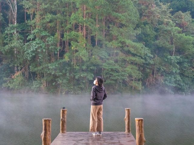 🌿กางเต็นท์นอนใต้ต้นสนที่…ปางอุ๋ง แม่ฮ่องสอน