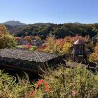 韓国【エバーランド】テーマパークで愉しむ韓国の秋🍁