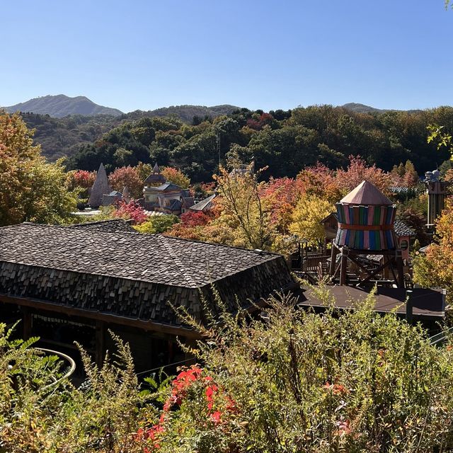 韓国【エバーランド】テーマパークで愉しむ韓国の秋🍁